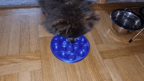 Puzzle đồ ăn vặt cho thú cưng (chó hoặc mèo) - Image 2