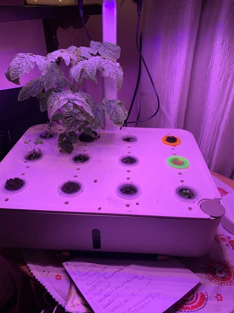 Rổ trồng thủy canh (Hydroponic growing baskets) - Image 2