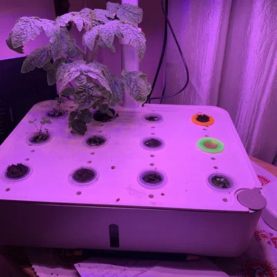 Rổ trồng thủy canh (Hydroponic growing baskets)