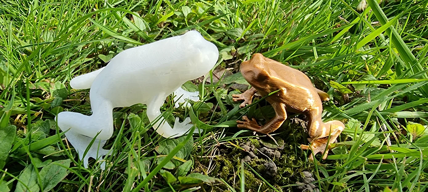 Mô hình chú ếch nhỏ trang trí in 3D (Frog) - Image 1