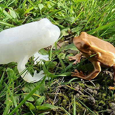 Mô hình chú ếch nhỏ trang trí in 3D (Frog)