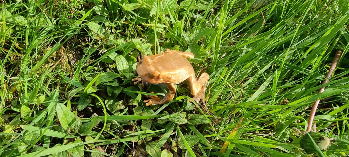 Mô hình chú ếch nhỏ trang trí in 3D (Frog) - Image 2