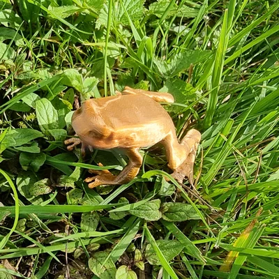Mô hình chú ếch nhỏ trang trí in 3D (Frog)