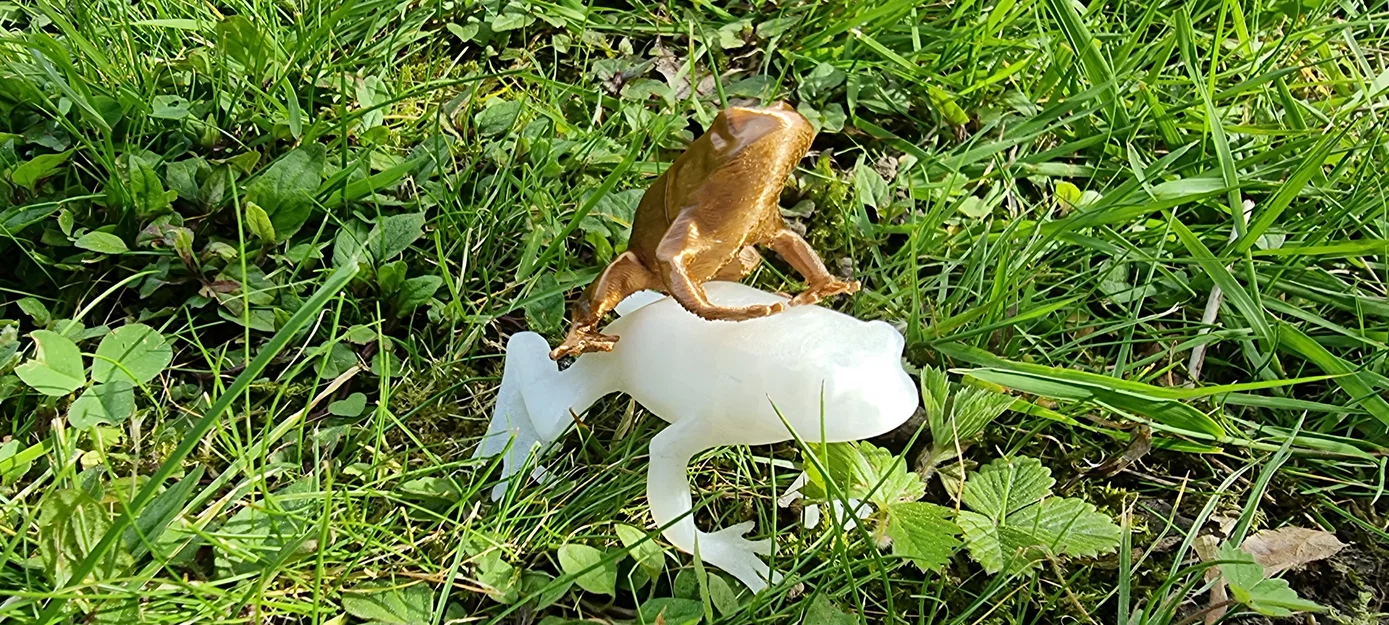 Mô hình chú ếch nhỏ trang trí in 3D (Frog) - Image 3