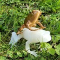 Mô hình chú ếch nhỏ trang trí in 3D (Frog) - Thumbnail 3
