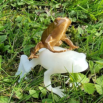 Mô hình chú ếch nhỏ trang trí in 3D (Frog)