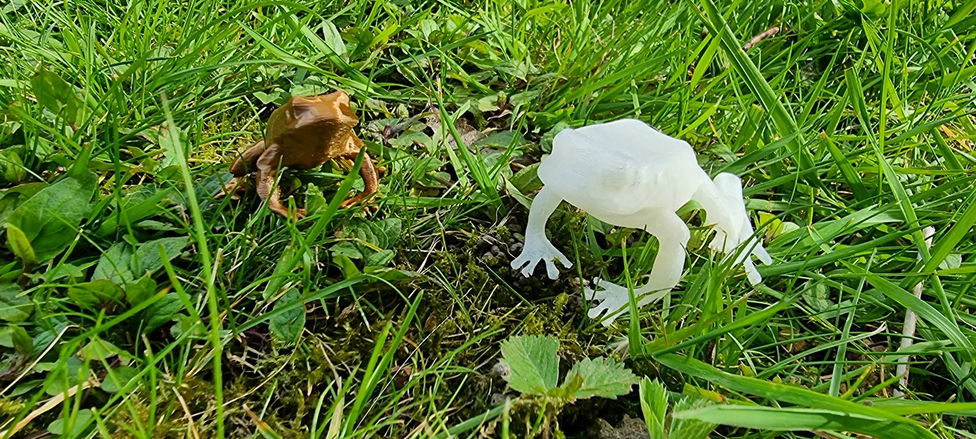 Mô hình chú ếch nhỏ trang trí in 3D (Frog) - Image 4