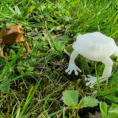 Mô hình chú ếch nhỏ trang trí in 3D (Frog)
