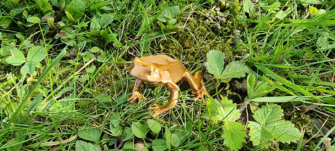 Mô hình chú ếch nhỏ trang trí in 3D (Frog) - Image 5