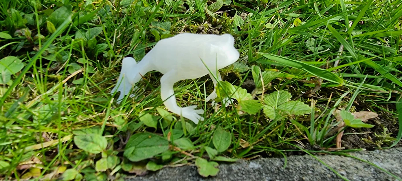 Mô hình chú ếch nhỏ trang trí in 3D (Frog) - Image 6