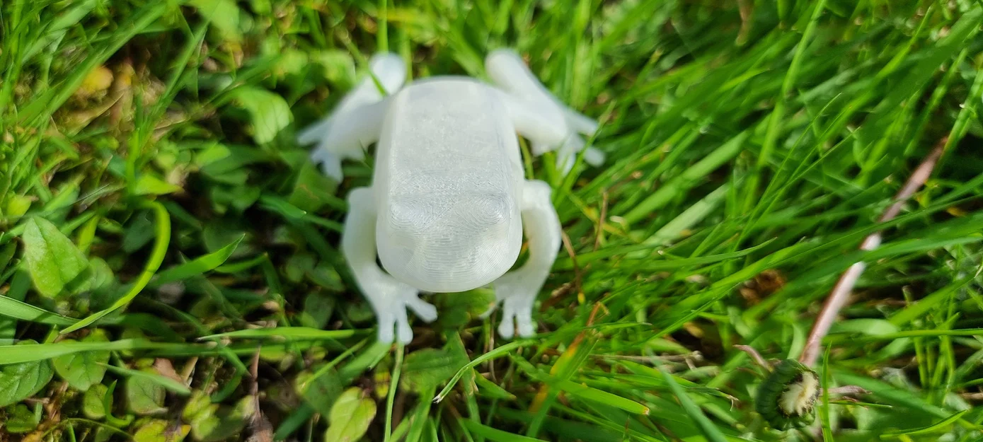 Mô hình chú ếch nhỏ trang trí in 3D (Frog) - Image 7