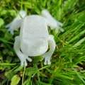 Mô hình chú ếch nhỏ trang trí in 3D (Frog) - Thumbnail 7