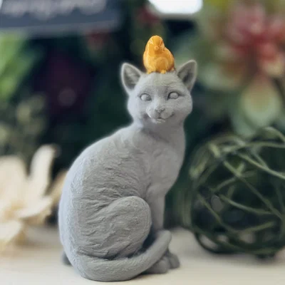 Chim Đậu Trên Đầu Mèo (Bird Perched on a Cat)