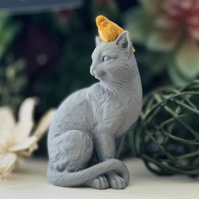 Chim Đậu Trên Đầu Mèo (Bird Perched on a Cat)