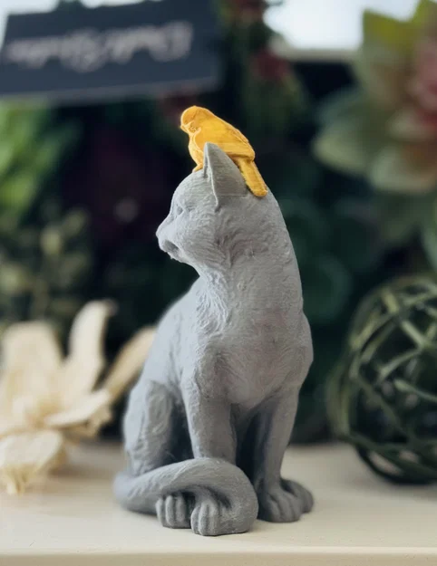 Chim Đậu Trên Đầu Mèo (Bird Perched on a Cat) - Image 4