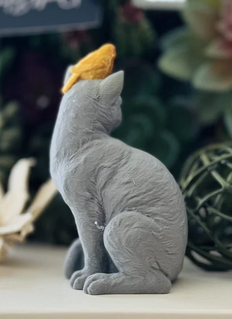 Chim Đậu Trên Đầu Mèo (Bird Perched on a Cat) - Image 5