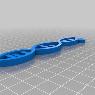 Móc khóa chuỗi DNA (DNA strand keychain)