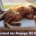 Bracket kệ mèo cho “SmartyKat Paw Perch”, hoặc tự làm kệ mèo của bạn - Thumbnail 5