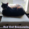 Bracket kệ mèo cho “SmartyKat Paw Perch”, hoặc tự làm kệ mèo của bạn - Thumbnail 6