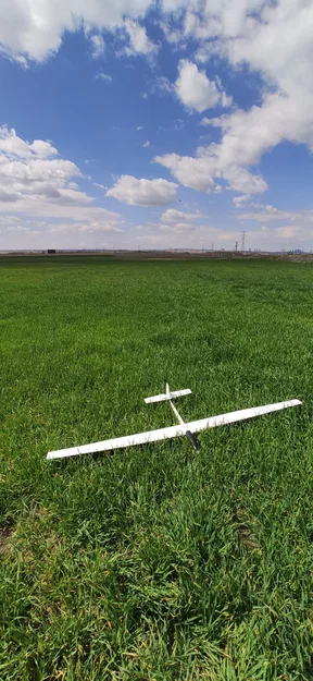 Tàu lượn RC Cirrus chạy động cơ (Cirrus RC powered glider) - Image 2