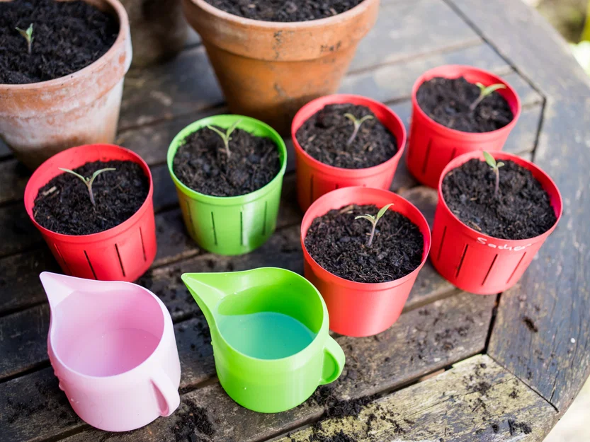 Chậu cây tối giản, in nhanh cho cây con (sẵn sàng Vasemode) - Image 1