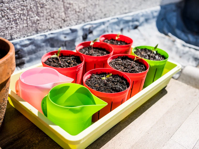 Chậu cây tối giản, in nhanh cho cây con (sẵn sàng Vasemode) - Image 6