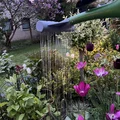 Dụng cụ cho bình tưới nước (Tool for Watering Can) - Thumbnail 4
