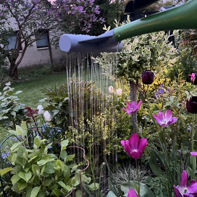 Dụng cụ cho bình tưới nước (Tool for Watering Can)