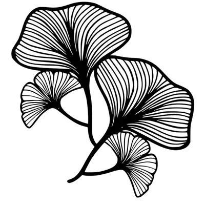 Mô hình trang trí lá rẻ quạt Ginkgo Leaf Flower cho không gian sống