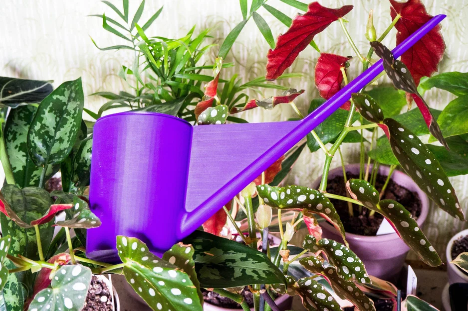 Bình tưới nước (Watering can) in vase mode - Image 1