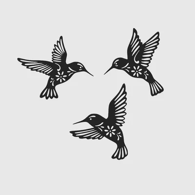 Mẫu in 3D Hummingbirds Wall Art - Trang trí tường chim ruồi tinh tế