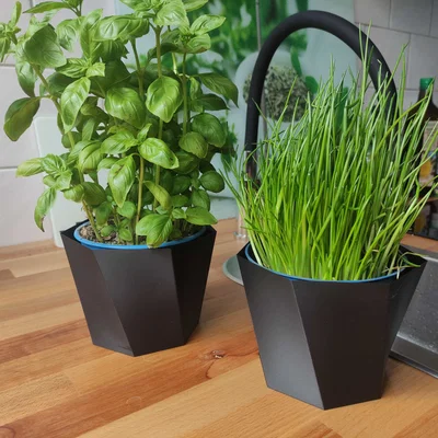 Chậu Cây 7 Cạnh Xoắn Ốc - Thiết Kế Hiện Đại Cho Góc Bếp Xanh