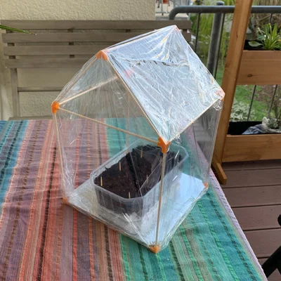 Mini Gewächshaus / Mini Greenhouse (Nhà kính mini trong nhà)