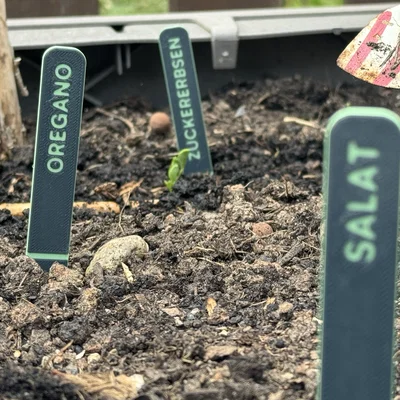 Nhãn Cắm Cây (tùy chỉnh)