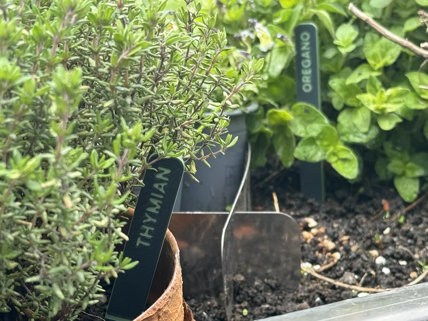 Nhãn Cắm Cây (tùy chỉnh) - Image 3