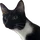 UAVBro