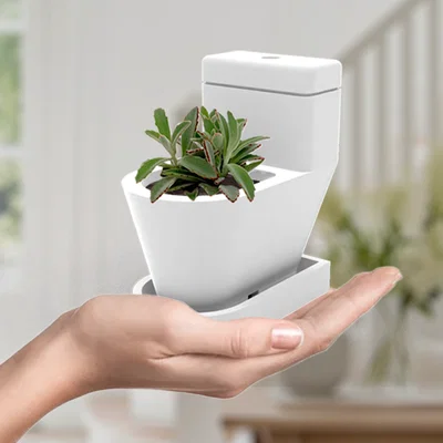 LE TOILET PLANT – Chậu cây để bàn hình bồn cầu (WC) in 3D