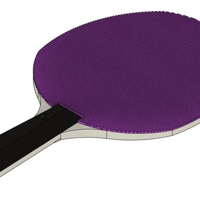 Vợt Ping Pong (Ping Pong Paddle)