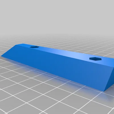 Vợt Ping Pong (Ping Pong Paddle)