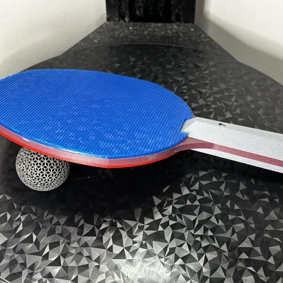 Vợt Bóng Bàn (Ping-Pong Paddle)