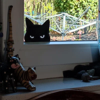 Mô hình trang trí Angry Guard Cat độc đáo - Tự in 3D tại nhà
