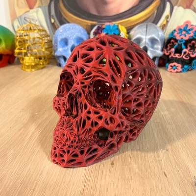 Voronoi Skull [remix] - Sọ người Voronoi (bản remix)