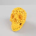 Voronoi Skull [remix] - Sọ người Voronoi (bản remix) - Thumbnail 5