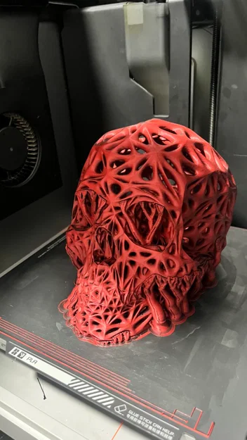 Voronoi Skull [remix] - Sọ người Voronoi (bản remix) - Image 6