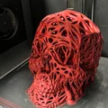 Voronoi Skull [remix] - Sọ người Voronoi (bản remix) - Thumbnail 6
