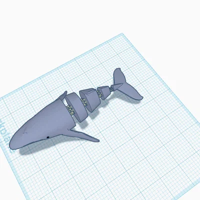 Mô hình cá voi linh hoạt Flexi Whale in 3D độc đáo