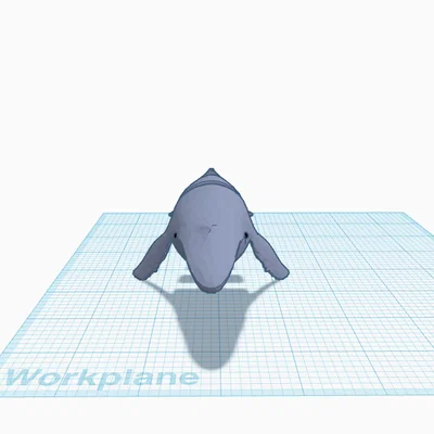 Mô hình cá voi linh hoạt Flexi Whale in 3D độc đáo