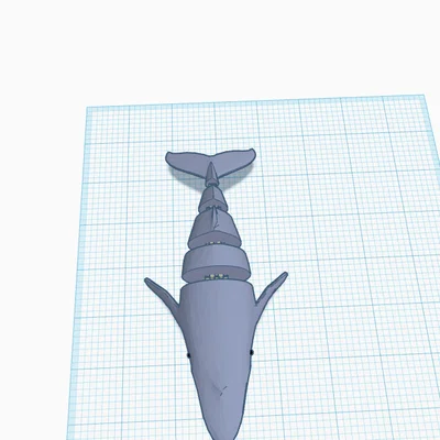 Mô hình cá voi linh hoạt Flexi Whale in 3D độc đáo