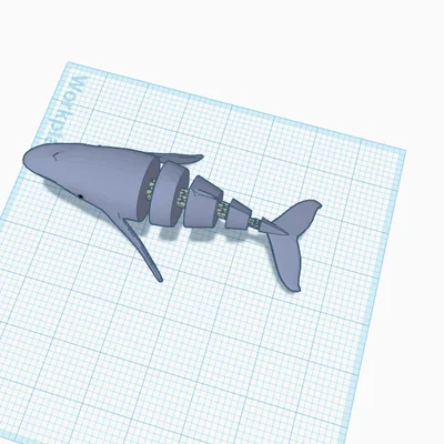 Mô hình cá voi linh hoạt Flexi Whale in 3D độc đáo