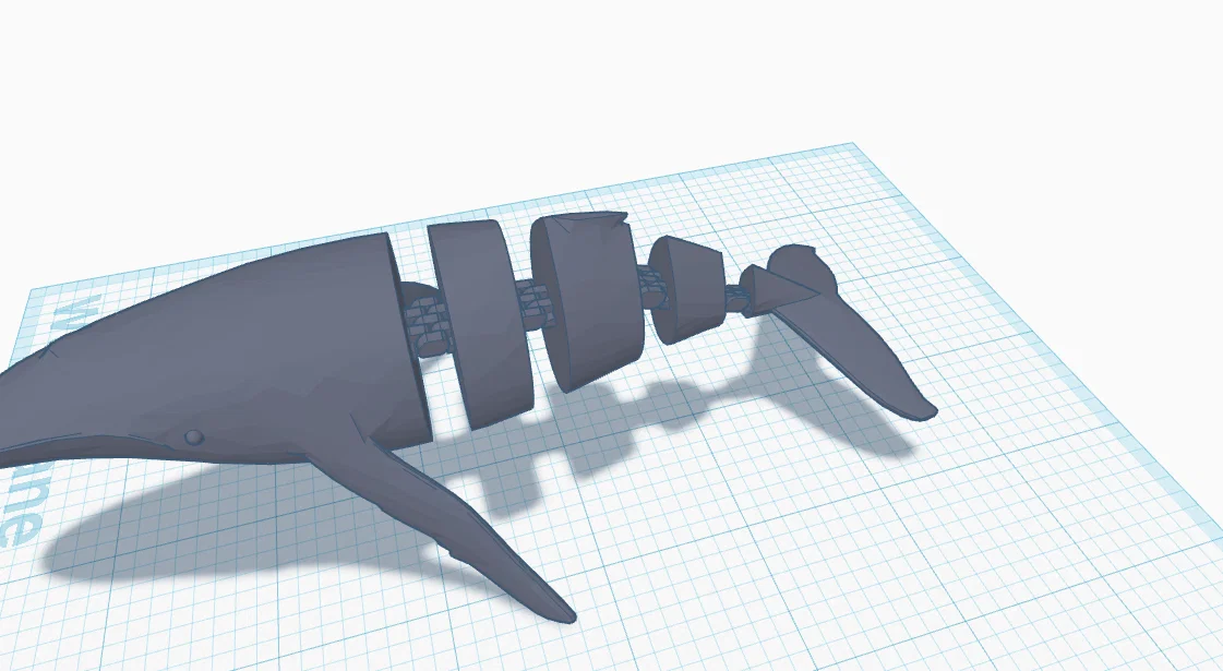 Mô hình cá voi linh hoạt Flexi Whale in 3D độc đáo - Image 5